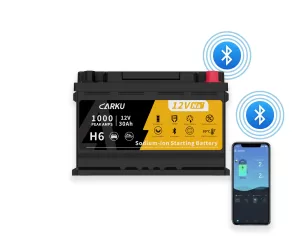 CBN1230 H6 Starting Battery