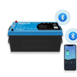 CBL24230-1 Dual Purpose Battery