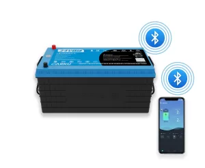 CBL24230-1 Dual Purpose Battery