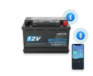 CBN1230E-H6 Starting Battery