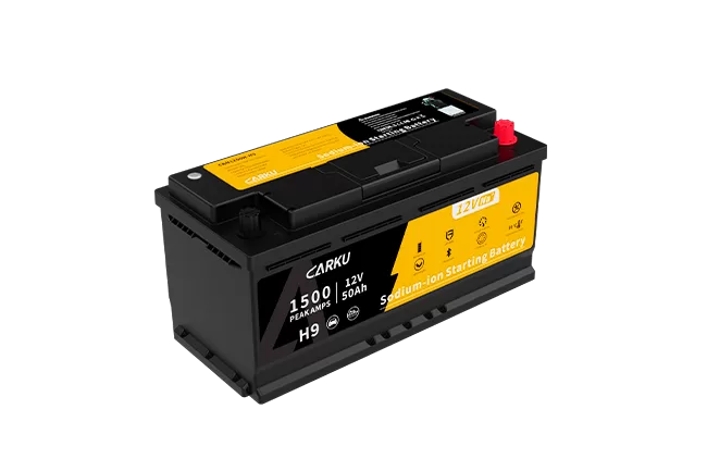 CBN1250-H9-sodium-ion