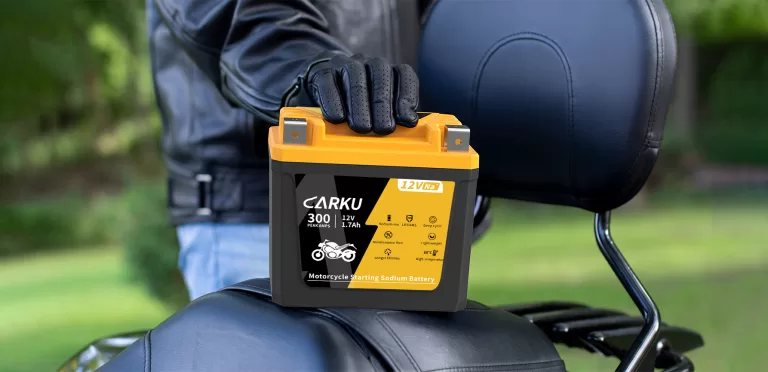Dead motorcycle battery during winter storage